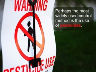 Perhaps the most
widely used control
method is the use
of pesticides.
 