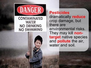 Pesticides
dramatically reduce
crop damage, but
there are
environmental risks.
They may kill non-
target native species
and pollute the air,
water and soil.
 
