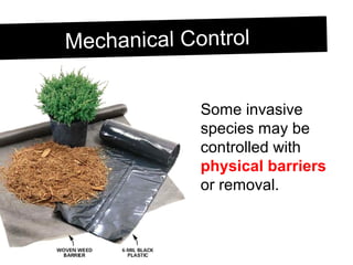 Mechanical ControlMechanical Control
Some invasive
species may be
controlled with
physical barriers
or removal.
 