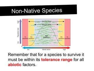 Non-Native SpeciesNon-Native Species
Remember that for a species to survive it
must be within its tolerance range for all
abiotic factors.
 