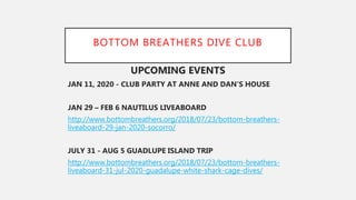 BOTTOM BREATHERS DIVE CLUB
UPCOMING EVENTS
JAN 11, 2020 - CLUB PARTY AT ANNE AND DAN’S HOUSE
JAN 29 – FEB 6 NAUTILUS LIVEABOARD
http://www.bottombreathers.org/2018/07/23/bottom-breathers-
liveaboard-29-jan-2020-socorro/
JULY 31 - AUG 5 GUADLUPE ISLAND TRIP
http://www.bottombreathers.org/2018/07/23/bottom-breathers-
liveaboard-31-jul-2020-guadalupe-white-shark-cage-dives/
 