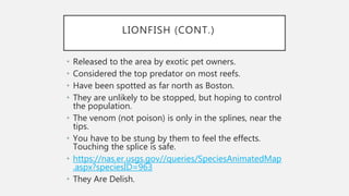 LIONFISH (CONT.)
• Released to the area by exotic pet owners.
• Considered the top predator on most reefs.
• Have been spotted as far north as Boston.
• They are unlikely to be stopped, but hoping to control
the population.
• The venom (not poison) is only in the splines, near the
tips.
• You have to be stung by them to feel the effects.
Touching the splice is safe.
• https://nas.er.usgs.gov//queries/SpeciesAnimatedMap
.aspx?speciesID=963
• They Are Delish.
 