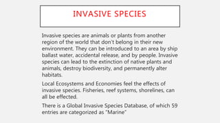 INVASIVE SPECIES
Invasive species are animals or plants from another
region of the world that don’t belong in their new
environment. They can be introduced to an area by ship
ballast water, accidental release, and by people. Invasive
species can lead to the extinction of native plants and
animals, destroy biodiversity, and permanently alter
habitats.
Local Ecosystems and Economies feel the effects of
invasive species. Fisheries, reef systems, shorelines, can
all be effected.
There is a Global Invasive Species Database, of which 59
entries are categorized as “Marine”
 