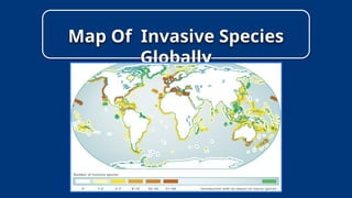 Marine Biology Invasive Species presentation | PPTX