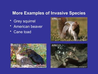 Invasive Species biology lower secondary.pptx