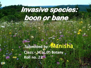 Invasive species:
boon or bane
Submitted by:-Manisha
Class:- M.sc.(P) Botany
Roll no. 22
 