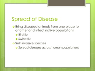 Spread of Disease
 Bringdiseased animals from one place to
  another and infect native populations
     Bird flu
     Swine flu
 Self   invasive species
     Spread diseases across human populations
 