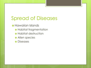 Spread of Diseases
 Hawaiian   Islands
    Habitat fragmentation
    Habitat destruction
    Alien species
    Diseases
 