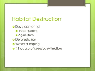 Habitat Destruction
 Development      of
     Infrastructure
     Agriculture
 Deforestation
 Waste dumping
 #1 cause of species extinction
 