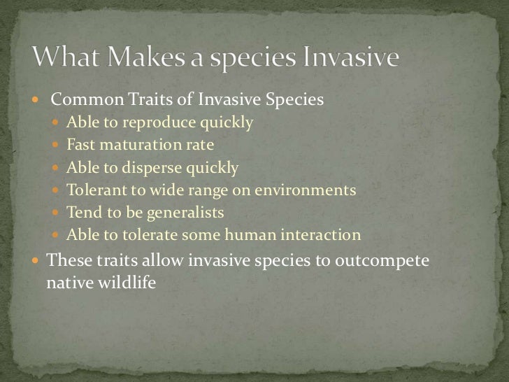 Invasive species seth knochel