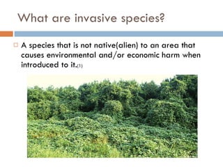 Invasive species 10_8 2011