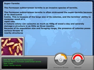 Super-Termite
The Formosan subterranean termite is an invasive species of termite.
The Formosan subterranean termite is often nicknamed the super-termite because
of its destructive
habits. This is because of the large size of its colonies, and the termites' ability to
consume wood at a
rapid rate.
A mature colony can consume as much as 400g of wood a day and severely
damage a structure in as little as three months.
Because of its population size and foraging range, the presence of colonies poses
serious threats to
nearby structures

Alien Name: Coptotermes Formosanus
Common Name: Formosan subterranean termite
Type: Insect
Cause: Human Activity

 