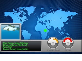 Alien Name: Lates Niloticus
Common Name: Nile Perch
Type: Fish
Cause: Human Introduction

 