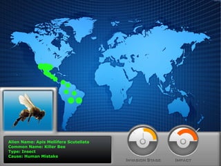 Alien Name: Apis Mellifera Scutellata
Common Name: Killer Bee
Type: Insect
Cause: Human Mistake

 