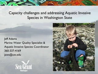 Capacity challenges and addressing Aquatic Invasive Species in Washington State Jeff Adams Marine Water Quality Specialist & Aquatic Invasive Species Coordinator  360-337-4169 [email_address] 
