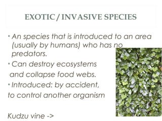 EXOTIC / INVASIVE SPECIES

• An species that is introduced to an area
  (usually by humans) who has no
  predators.
• Can destroy ecosystems
 and collapse food webs.
• Introduced: by accident,
to control another organism

Kudzu vine ->
 
