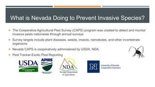 What is Nevada Doing to Prevent Invasive Species?
 The Cooperative Agricultural Pest Survey (CAPS) program was created to detect and monitor
invasive pests nationwide through annual surveys
 Survey targets include plant diseases, weeds, insects, nematodes, and other invertebrate
organisms
 Nevada CAPS is cooperatively administered by USDA, NDA.
 Pest Tracker-Exotic Pest Reporting
 