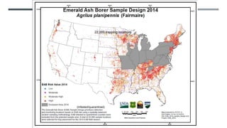 22,000 trapping locations
(Infested/quarantined)
 