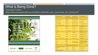 What is Being Done?
Chemical Control
(http://www.emeraldashborer.info/files/multistate_eab_insecticide_fact_sheet.pdf)
 