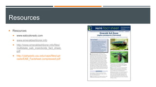 Resources
 Resources
 www.eabcolorado.com
 www.emeraldashborer.info
 http://www.emeraldashborer.info/files/
multistate_eab_insecticide_fact_sheet.
pdf
 http://utahpests.usu.edu/caps/files/upl
oads/EAB_Factsheet.compressed.pdf
 