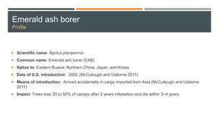 Emerald ash borer
Profile
 Scientific name: Agrilus planipennis
 Common name: Emerald ash borer (EAB)
 Native to: Eastern Russia, Northern China, Japan, and Korea
 Date of U.S. introduction: 2002 (McCullough and Usborne 2011)
 Means of introduction: Arrived accidentally in cargo imported from Asia (McCullough and Usborne
2011)
 Impact: Trees lose 30 to 50% of canopy after 2 years infestation and die within 3–4 years
 