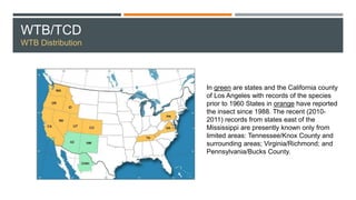 WTB/TCD
WTB Distribution
In green are states and the California county
of Los Angeles with records of the species
prior to 1960 States in orange have reported
the insect since 1988. The recent (2010-
2011) records from states east of the
Mississippi are presently known only from
limited areas: Tennessee/Knox County and
surrounding areas; Virginia/Richmond; and
Pennsylvania/Bucks County.
 