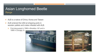 Asian Longhorned Beetle
Range
 ALB is a native of China, Korea and Taiwan
 ALB entered the USA at shipping ports in
wooden pallets and crates infested with ALB.
 First discovered in 1996 in Brooklyn, NY and in
1998 in Chicago, IL.
 