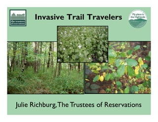 Invasive Trail Travelers
Julie Richburg,The Trustees of Reservations
 