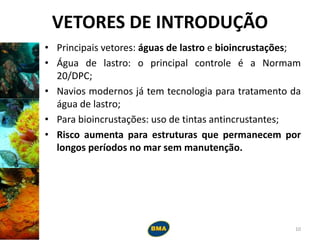 VETORES DE INTRODUÇÃO
• Principais vetores: águas de lastro e bioincrustações;
• Água de lastro: o principal controle é a Normam
20/DPC;
• Navios modernos já tem tecnologia para tratamento da
água de lastro;
• Para bioincrustações: uso de tintas antincrustantes;
• Risco aumenta para estruturas que permanecem por
longos períodos no mar sem manutenção.
10
 