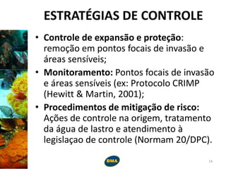 ESTRATÉGIAS DE CONTROLE
• Controle de expansão e proteção:
remoção em pontos focais de invasão e
áreas sensíveis;
• Monitoramento: Pontos focais de invasão
e áreas sensíveis (ex: Protocolo CRIMP
(Hewitt & Martin, 2001);
• Procedimentos de mitigação de risco:
Ações de controle na origem, tratamento
da água de lastro e atendimento à
legislaçao de controle (Normam 20/DPC).
14
 