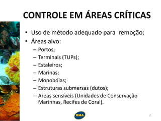 CONTROLE EM ÁREAS CRÍTICAS
• Uso de método adequado para remoção;
• Áreas alvo:
– Portos;
– Terminais (TUPs);
– Estaleiros;
– Marinas;
– Monobóias;
– Estruturas submersas (dutos);
– Areas sensíveis (Unidades de Conservação
Marinhas, Recifes de Coral).
17
 