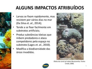 ALGUNS IMPACTOS ATRIBUÍDOS
• Larvas se fixam rapidamente, mas
resistem por vários dias no mar
(Da Silva et. al., 2014);
• Tende a se fixar facilmente em
substratos artificiais;
• Produz substâncias tóxicas que
inibem predadores e ataca
competidores pelo espaço no
substrato (Lages et. al., 2010).
• Modifica a biodiversidade das
áreas invadidas.
Efeito do coral sol sobre Mussismilia. Fonte:
Creed, 2006.
5
 