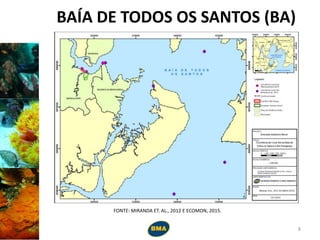 BAÍA DE TODOS OS SANTOS (BA)
8
FONTE: MIRANDA ET. AL., 2012 E ECOMON, 2015.
 