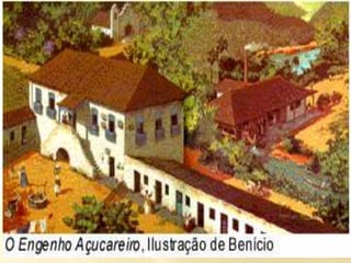 Administração de Nassau (1637 – 1644) - Após a queda do Arraial do Bom Jesus. - Abertura de crédito financeiro. - Redução da carga tributaria. - Modernização do Recife. - Liberdade religiosa.A insurreição pernambucana(1645 – 1654) - Reação dos colonos contra os holandeses após a saída de Nassau e as novas medidas administrativas tomadas pelo novo governo. Obs.: O Mito da união racial.