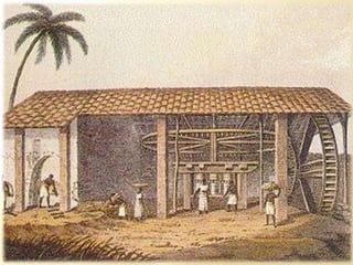 Contatos com os nativos.