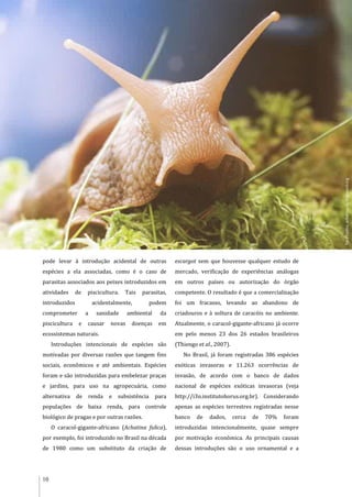 10
pode levar à introdução acidental de outras
espécies a ela associadas, como é o caso de
parasitas associados aos peixes introduzidos em
atividades de piscicultura. Tais parasitas,
introduzidos acidentalmente, podem
comprometer a sanidade ambiental da
piscicultura e causar novas doenças em
ecossistemas naturais.
Introduções intencionais de espécies são
motivadas por diversas razões que tangem fins
sociais, econômicos e até ambientais. Espécies
foram e são introduzidas para embelezar praças
e jardins, para uso na agropecuária, como
alternativa de renda e subsistência para
populações de baixa renda, para controle
biológico de pragas e por outras razões.
O caracol-gigante-africano (Achatina fulica),
por exemplo, foi introduzido no Brasil na década
de 1980 como um substituto da criação de
escargot sem que houvesse qualquer estudo de
mercado, verificação de experiências análogas
em outros países ou autorização do órgão
competente. O resultado é que a comercialização
foi um fracasso, levando ao abandono de
criadouros e à soltura de caracóis no ambiente.
Atualmente, o caracol-gigante-africano já ocorre
em pelo menos 23 dos 26 estados brasileiros
(Thiengo et al., 2007).
No Brasil, já foram registradas 386 espécies
exóticas invasoras e 11.263 ocorrências de
invasão, de acordo com o banco de dados
nacional de espécies exóticas invasoras (veja
http://i3n.institutohorus.org.br). Considerando
apenas as espécies terrestres registradas nesse
banco de dados, cerca de 70% foram
introduzidas intencionalmente, quase sempre
por motivação econômica. As principais causas
dessas introduções são o uso ornamental e a
YuriYashin,achatina.ru,Bugwood.org
 