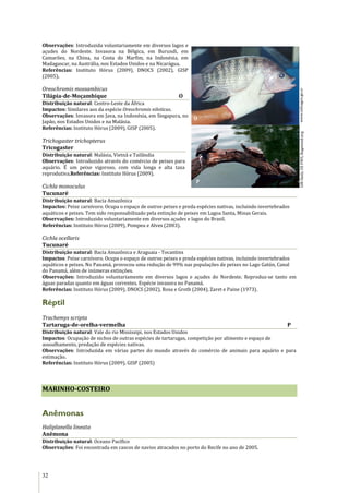 32
Observações: Introduzida voluntariamente em diversos lagos e
açudes do Nordeste. Invasora na Bélgica, em Burundi, em
Camarões, na China, na Costa do Marfim, na Indonésia, em
Madagascar, na Austrália, nos Estados Unidos e na Nicarágua.
Referências: Instituto Hórus (2009), DNOCS (2002), GISP
(2005).
Oreochromis mossambicus
Tilápia-de-Moçambique O
Distribuição natural: Centro-Leste da África
Impactos: Similares aos da espécie Oreochromis niloticus.
Observações: Invasora em Java, na Indonésia, em Singapura, no
Japão, nos Estados Unidos e na Malásia.
Referências: Instituto Hórus (2009), GISP (2005).
Trichogaster trichopterus
Tricogaster
Distribuição natural: Malásia, Vietnã e Tailândia
Observações: Introduzido através do comércio de peixes para
aquário. É um peixe vigoroso, com vida longa e alta taxa
reprodutiva.Referências: Instituto Hórus (2009).
Cichla monoculus
Tucunaré
Distribuição natural: Bacia Amazônica
Impactos: Peixe carnívoro. Ocupa o espaço de outros peixes e preda espécies nativas, incluindo invertebrados
aquáticos e peixes. Tem sido responsabilizado pela extinção de peixes em Lagoa Santa, Minas Gerais.
Observações: Introduzido voluntariamente em diversos açudes e lagos do Brasil.
Referências: Instituto Hórus (2009), Pompeu e Alves (2003).
Cichla ocellaris
Tucunaré
Distribuição natural: Bacia Amazônica e Araguaia - Tocantins
Impactos: Peixe carnívoro. Ocupa o espaço de outros peixes e preda espécies nativas, incluindo invertebrados
aquáticos e peixes. No Panamá, provocou uma redução de 99% nas populações de peixes no Lago Gatún, Canal
do Panamá, além de inúmeras extinções.
Observações: Introduzido voluntariamente em diversos lagos e açudes do Nordeste. Reproduz-se tanto em
águas paradas quanto em águas correntes. Espécie invasora no Panamá.
Referências: Instituto Hórus (2009), DNOCS (2002), Rosa e Groth (2004), Zaret e Paine (1973).
Réptil
Trachemys scripta
Tartaruga-de-orelha-vermelha P
Distribuição natural: Vale do rio Mississipi, nos Estados Unidos
Impactos: Ocupação de nichos de outras espécies de tartarugas, competição por alimento e espaço de
assoalhamento, predação de espécies nativas.
Observações: Introduzida em várias partes do mundo através do comércio de animais para aquário e para
estimação.
Referências: Instituto Hórus (2009), GISP (2005)
MARINHO-COSTEIRO
Anêmonas
Haliplanella lineata
Anêmona
Distribuição natural: Oceano Pacífico
Observações: Foi encontrada em cascos de navios atracados no porto do Recife no ano de 2005.
www.infoagro.go.crGMStolz,USFWS,Bugwood.org
P
O
 