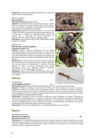 40
Referências: Instituto Horus (2009), Moura-Britto e Patrocínio
(2005), Sazima e Haemig (2006).
Rattus norvegicus
Rato, ratazana Ad
Distribuição natural: Nordeste da China
Impactos: Transmissão de doenças a humanos e ataques a ninhos
de aves. É agressivo com outras espécies e desloca ratos nativos.
Causa sérios danos a plantações e propriedades rurais. Principal
responsável pela transmissão da leptospirose.
Observações: Segundo a Instrução Normativa nº 141, de 19 de
dezembro de 2006, é considerada uma espécie sinantrópica nociva
e, observados os detalhes da legislação vigente, passível de
controle sem a autorização do Ibama. Encontrada em
praticamente todos os locais onde há ocupação humana.
Referências: Instituto Hórus (2009), GISD (2009), IBAMA (2006),
Pimentel et al. (2000).
Rattus rattus
Rato-de-casa, rato-preto, gabiru
Distribuição natural: Índia
Impactos: Onívoro, capaz de alimentar-se de uma grande
variedade de plantas e animais nativos. Preda ovos e aves jovens.
Frequentemente desloca espécies de ratos nativos, ocupando o seu
nicho. Provavelmente foi causador da extinção de um grande rato
(Noronhomys vespuccii) endêmico do Arquipélago de Fernando de
Noronha.
Observações: Considerada uma das 100 piores espécies invasoras
do mundo. Adapta-se a praticamente qualquer tipo de ambiente.
Tem causado, direta ou indiretamente, a extinção de várias
espécies ao redor do planeta. Considerada uma espécie
sinantrópica nociva pela legislação brasileira (Instrução
Normativa nº 141, de 19 de dezembro de 2006).
Referências: Amori e Clout (2003), Brandão-Filho (2003), GISD
(2009), IBAMA (2006), Moura-Britto e Patrocínio (2005), Pimentel
et al. (2000).
Molusco
Achatina fulica
Caracol-gigante-africano Ae
Distribuição natural: África, da África do Sul a Moçambique no sul e do Quênia à Somália ao norte.
Impactos: Predador de plantas e competidor por espaço com outras espécies, em função do aumento
populacional acelerado. A espécie ataca praticamente qualquer lavoura, causando prejuízos econômicos.
Também compete com espécies nativas em ambientes florestais. É vetor de 2vermes que transmitem doenças:
Angiostrongylus costaricensis, causador da angiostrongilíase abdominal; e Angiostrongylus cantonensis, causador
da angiostrongilíase meningoencefálica humana.
Observações: Introduzido no País na década de 1980 para criação alternativa ao escargot. O fracasso das
tentativas de comercialização levou os criadores a soltar os caracóis no ambiente. Reproduz-se rapidamente e
em grande quantidade. Dispersou-se amplamente, podendo ser encontrado em praticamente todo o Brasil.
Invasora nos Estados Unidos, na China, na Martinica, na França, nas Ilhas Maldivas, nas Filipinas e na Austrália.
Considerada uma das 100 piores espécies invasoras do mundo.
Referências: Instituto Hórus (2009), Fischer et al. (2006), GISD (2009), Lowe et al.(2000).
Répteis
Hemidactylus mabouia
Briba-de-casa, lagartixa Af
Distribuição natural: África
Observações: Foi introduzida acidentalmente no Novo Mundo, tornando-se uma colonizadora de sucesso,
amplamente representada no sul da América do Norte, na América Central e na América do Sul. Espécie comum
em toda a Região Nordeste do Brasil, porém sempre encontrada em construções ou estruturas de origem
humana. É noturna e alimenta-se de insetos.
WikimediaDavidG.Robinson,USDAAPHISPPQ,Bugwood.orgPostdlf,WikimediaAf
Ae
Ad
 