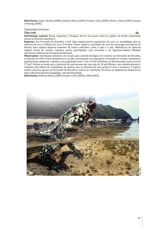 41
Referências: Anjos e Rocha (2008), Instituto Hórus (2009), Freitas e Silva (2005), Rocha e Anjos (2007), Sazima
e Haemig (2006).
Tupinambis merianae
Teju, teiú Ag
Distribuição natural: Brasil, Argentina e Uruguai. Ocorre em quase todas as regiões do Brasil continental,
menos na Floresta Amazônica.
Impactos: Em Fernando de Noronha, o teiú afeta negativamente populações de aves no arquipélago, pois se
alimenta de ovos e filhotes de aves. O Projeto Tamar registra a predação de ovos de tartarugas nas épocas de
desova. Essa espécie dispersa sementes de frutos cultivados, como o cajá e o caju. Alimenta-se de material
vegetal, larvas de insetos, roedores, grilos, gastrópodes, aves marinhas e da lagartixa-mabuia (Mabuya
maculata), endêmica de Fernando de Noronha.
Observações: Introdução voluntária de 2casais para controle biológico de roedores em Fernando de Noronha,
na década de 1950. O teiú estabeleceu-se na ilha, aumentando sua população e tornando-se invasor. Estimativas
populacionais chegaram a apontar uma população entre 2 mil e 8 mil indivíduos na ilha principal, numa área de
17 km². Estima-se ainda que o potencial de nascimentos por ano seja de 18 mil filhotes, cujo estabelecimento é
reduzido pelo hábito de canibalismo da espécie, que se alimenta de seus próprios ovos e neonatos. É espécie
exótica invasora apenas em Fernando de Noronha e nativa no continente. Encontra-se amplamente dispersa em
toda a ilha principal do arquipélago, com alta densidade.
Referências: Instituto Hórus (2009), Freitas e Silva (2005), GISP (2005).
Ag
GISP2005
 