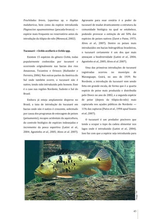 43
Prochilodus brevis, Leporinus sp. e Hoplias
malabaricus, bem como da espécie introduzida
Plagioscion squamosissimus (pescada-branca) —
espécie mais frequente no reservatório antes da
introdução da tilápia-do-nilo (Menescal, 2002).
Tucunaré – Cichla ocellaris e Cichla spp.
Existem 15 espécies do gênero Cichla, todas
popularmente conhecidas por tucunaré e
ocorrendo originalmente nas bacias dos rios
Amazonas, Tocantins e Orinoco (Kullander e
Ferreira, 2006). Nas outras partes da América do
Sul onde também ocorre, o tucunaré não é
nativo, tendo sido introduzido pelo homem. Esse
é o caso nas regiões Nordeste, Sudeste e Sul do
Brasil.
Embora já esteja amplamente disperso no
Brasil, a taxa de introdução do tucunaré em
bacias onde não é nativo é crescente, sobretudo
por causa dos programas de estocagem de peixes
(peixamento), escapes acidentais da aquicultura,
do controle biológico de espécies indesejadas e
incremento da pesca esportiva (Latini et al.,
2004; Agostinho et al., 2005; Alves et al. 2007).
Agravante para esse cenário é o poder do
tucunaré de mudar drasticamente a estrutura da
comunidade biológica na qual se estabelece,
podendo provocar a extinção de até 50% das
espécies de peixes nativos (Zaret e Paine, 1973;
Alves et al., 2007). Dentre os peixes mais
introduzidos em bacias hidrográficas brasileiras,
o tucunaré certamente é um dos que mais
ameaçam a biodiversidade (Latini et al., 2004;
Agostinho et al., 2005; Alves et al. 2007).
Uma das primeiras introduções de tucunaré
registradas ocorreu no município de
Maranguape, Ceará, no ano de 1939. No
Nordeste, a introdução do tucunaré vem sendo
feita em grande escala, de forma que é a quarta
espécie de peixe mais produzida e distribuída
pelo Dnocs no ano de 2002, e a segunda espécie
de peixe (depois da tilápia-do-nilo) mais
capturada nos açudes públicos do Nordeste —
11% das capturas (Paiva et al., 1994 apud Soares
et al., 2007).
O tucunaré é um predador piscívoro que
tende a ocupar o topo da cadeia alimentar nos
lagos onde é introduzido (Latini et al., 2004).
Isso faz com que a espécie seja introduzida para
Thiago“TH”
 