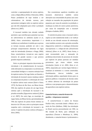 44
controlar a superpopulação de outras espécies,
como a tilápia (Moura-Britto e Patrocínio, 2005).
Peixes predadores de topo tendem a ser
colonizadores de elevado sucesso, pois
apresentam vantagens sobre as espécies nativas
que não têm adaptações para evitar a predação
(Alves et al., 2007).
O tucunaré também tem elevado cuidado
parental, o que contribui para aumentar sua taxa
de sobrevivência no ambiente (Latini et al.,
2004). Outra característica importante é a
tendência ao canibalismo à medida que as presas
se tornam escassas, podendo ser este o seu
principal comportamento alimentar em lagos
onde foi introduzido (Gomiero e Braga, 2004).
Essas características tornam-no uma espécie
invasora de grande sucesso e que provoca
grandes impactos ambientais.
Entre os principais impactos decorrentes da
introdução e do estabelecimento do tucunaré,
estão alterações na composição e na estrutura da
comunidade biológica e a massiva extinção local
de espécies nativas. No Lago Gatún, no Panamá, a
introdução do tucunaré causou mudança radical
na composição de peixes e a eliminação de 6 das
8 espécies nativas mais comuns (Zaret e Paine,
1973). Na Bacia do Rio Doce, em Minas Gerais,
50% das espécies de peixes de um lago foram
extintas após a introdução do tucunaré e da
piranha-vermelha (Pygocentrus nattereri) (Alves
et al., 2007). Em outro lago, no município de
Lagoa Santa, em Minas Gerais, aproximadamente
70% das espécies de peixes foram extintas no
decorrer de 150 anos; entre as principais causas
suspeitas está a introdução do tucunaré e de
outras 4 espécies de peixes exóticos (Pompeu e
Alves, 2003).
Nos ecossistemas aquáticos invadidos por
tucunaré, observam-se também outras
alterações nas comunidades de peixes, tais como
redução no tamanho das populações de peixes
pequenos, por causa do aumento na predação, e
mudanças na dieta de outros peixes piscívoros,
por causa da competição com o tucunaré
(Pompeu e Godinho, 2001).
O controle de peixes como o tucunaré onde a
espécie já está estabelecida tende a ser ineficaz
devido ao seu elevado sucesso de colonização,
como também acontece com a piranha-vermelha
(Pygocentrus nattereri), o tambaqui (Colossoma
macropomum) e a tilápia-do-nilo (Oreochromis
niloticus) (Alves et al., 2007). Dessa forma, o
mais recomendado para a atenuação de
problemas decorrentes de processos de invasão
por espécies de peixes parecem ser medidas
preventivas que visem reduzir novas
introduções (Latini et al., 2004; Alves et al.,
2007), amparadas por normas legais federais e
estaduais já existentes e a serem construídas.
Paralelamente, deve-se trabalhar com
informação pública, capacitação técnica para os
gestores públicos e tomadores de decisão sobre
os efeitos adversos da introdução de peixes
exóticos e com pesquisa para o desenvolvimento
da aquicultura com espécies nativas.
Camarão-branco, camarão-branco-do-
pacífico – Litopenaeus vannamei
O camarão-branco é nativo do Oceano
Pacífico leste, ocorrendo desde o México até o
norte do Peru (Holthuis, 1980). Sua introdução
no Brasil ocorreu provavelmente em 1981, no
Rio Grande do Norte, para utilização na
aquicultura (Tavares e Mendonça Jr., 2004).
Atualmente, o camarão-branco é praticamente a
 