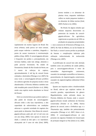 47
rapidamente em muitos lugares do Brasil. Em
áreas urbanas, onde parece ser mais comum,
pode ocupar rodovias e caminhos, chegando a
ponto de causar transtorno à movimentação
pública (Gisp, 2005). O caracol-gigante-africano
é frequente em jardins e, principalmente, em
terrenos baldios, onde tem abrigo, alimento e
pode procriar livremente. Na cidade de
Parnamirim, Estado do Rio Grande do Norte, em
5 meses de esforços de captura,
aproximadamente 4 mil kg de caracol foram
coletados e destruídos (Thiengo et al., 2007). Na
zona rural, o caracol-gigante-africano prolifera
em culturas agrícolas de pequena escala e áreas
abandonadas. A Floresta Atlântica também tem
sido invadida pelo caracol (Fischer et al., 2006),
sendo uma espécie muito abundante no litoral
do Paraná.
Entre as características que podem explicar o
alto poder de invasão do caracol-gigante-
africano estão a alta taxa reprodutiva, a alta
capacidade de sobrevivência em condições
adversas e a grande variedade de vegetais dos
quais pode se alimentar. Uma fêmea do caracol-
gigante-africano pode pôr até 1,2 mil ovos em
um ano (Gisp, 2005). Com apenas 6 meses de
idade, o animal já está apto a se reproduzir,
alcançando até 9 anos de vida (Gisd, 2009).
Jovens tendem a se alimentar de
plantas vivas, enquanto indivíduos
velhos ou muito pequenos tendem a
se alimentar de folhas mortas (Gisd,
2009; Fischer et al., 2006).
No Brasil, há alguns estudos que
relatam impactos decorrentes ou
potenciais da invasão do caracol-
gigante-africano. Na agricultura,
registraram-se perdas de até 30% na
produção em pequenas propriedades
— isto é, menores de 10 hectares (Thiengo et al.,
2007). No Vale do Ribeira, no sul do Estado de
São Paulo, o caracol causou perdas na produção
de banana e complicações indiretas pela
utilização indiscriminada de moluscicida
(Thiengo et al., 2007).
A proliferação do caracol tem sido alertada
também como um problema de saúde pública,
pois o caracol-gigante-africano é vetor do
nematódeo Angiostrongylus cantonensis,
causador da meningite eosinofílica no homem e,
possivelmente, do Angiostrongylus costaricensis,
causador da angiostrongilíase abdominal (Teles
et al., 1997).
Quanto aos impactos sobre a biodiversidade
no Brasil, sabe-se que espécies nativas de
caracóis grandes, especialmente do gênero
Megalobulimilus, estão sofrendo danos na
Floresta Atlântica do Paraná, onde o caracol-
gigante-africano invade ambientes de florestas
conservadas (Fischer et al., 2006). Outros
gêneros de caracol, como o Orthalicus spp. e o
Thaumastus spp., também são potencialmente
ameaçados (Thiengo et al., 2007; Eston et al.,
2006). O caracol-gigante-africano já está
presente em algumas Unidades de Conservação
de proteção integral no País (Eston et al., 2006;
 
