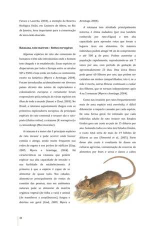 48
Faraco e Lacerda, 2004), a exemplo da Reserva
Biológica União, em Casimiro de Abreu, no Rio
de Janeiro, área importante para a conservação
do mico-leão-dourado.
Ratazana, rato-marrom – Rattus norvegicus
Algumas espécies de rato são comensais de
humanos e têm sido introduzidas onde o homem
tem chegado e se estabelecido. Essas espécies se
dispersaram por toda a Europa entre os séculos
XVI e XVIII e hoje estão em todos os continentes,
exceto na Antártica (Myers e Armitage, 2004).
Foram introduzidas acidentalmente em diversos
países através dos navios de exploradores e
colonizadores europeus e certamente foram
responsáveis pela extinção de várias espécies em
ilhas de todo o mundo (Amori e Clout, 2003). No
Brasil, a ratazana supostamente chegou com os
primeiros exploradores europeus. As principais
espécies de rato comensal e invasor são o rato-
preto (Rattus rattus), a ratazana (R. norvegicus) e
o camundongo (Mus musculus).
A ratazana é a maior das 3 principais espécies
de rato invasor e pode ocorrer onde houver
comida e abrigo, sendo muito frequente nas
redes de esgoto e nos porões de edifícios (Gisp,
2005; Myers e Armitage, 2004). Há
características na ratazana que podem
explicar sua alta capacidade de invasão e
sua facilidade de estabelecimento. A
primeira é que a espécie é capaz de se
alimentar de quase tudo. Nas cidades,
alimenta-se principalmente de restos de
comidas das pessoas, mas em ambientes
naturais pode se alimentar de matéria
orgânica vegetal (de folha a raiz) e animal
(de mamíferos a zooplânctons), fungos e
detritos em geral (Gisd, 2009; Myers e
Armitage, 2004).
A ratazana tem atividade principalmente
noturna, é ótima nadadora (por isso também
conhecida por rato-d’água) e tem alta
capacidade para aprender rotas que levam a
lugares ricos em alimentos. Os maiores
indivíduos podem atingir 40 cm de comprimento
e até 500 g de peso. Podem aumentar a
população rapidamente, reproduzindo-se até 7
vezes por ano, com período de gestação de
aproximadamente 23 dias. Uma única fêmea
pode gerar 60 filhotes por ano, que podem ser
cuidados em ninhos compartilhados; isto é, se a
mãe é morta, outras fêmeas continuam a cuidar
dos filhotes, que se tornam independentes após
4 ou 5 semanas (Myers e Armitage, 2004).
Como nas invasões por ratos frequentemente
mais de uma espécie está envolvida, é difícil
diferenciar o impacto causado por cada espécie.
De uma forma geral, foi estimado que cada
indivíduo adulto de rato invasor nos Estados
Unidos gera um custo ao país de 15 dólares por
ano. Somando todos os ratos dos Estados Unidos,
o custo total seria de mais de 19 bilhões de
dólares ao ano (Pimentel et al., 2005). Parte
desse alto custo é resultante de danos em
culturas agrícolas, contaminação de reservas de
alimentos por fezes e urina e danos a cabos
 