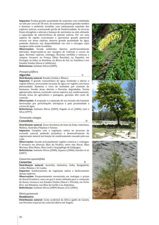 56
Impactos: Produz grande quantidade de sementes com viabilidade
no solo por cerca de 50 anos. As numerosas plantas geradas tendem
a dominar o ambiente invadido, com subsequente expulsão das
espécies nativas, ocasionando perda de biodiversidade. As árvores
fixam nitrogênio e alteram o balanço de nutrientes no solo, afetando
a capacidade de sobrevivência de plantas nativas. Por ser uma
espécie de rápido crescimento e apresentar grande potencial
invasor em áreas ripárias, absorve grande quantidade de água,
podendo diminuir sua disponibilidade em rios e córregos cujas
margens estão sendo invadidas.
Observações: Invade ambientes abertos, preferencialmente
alterados, dispersando-se por margens de rodovias e cursos de
água, florestas ripárias, restingas, florestas xerófilas e mésicas e
campos. Invasora na França (Ilhas Reunião), na Espanha, em
Portugal, na Itália, na Romênia, na África do Sul, na Tanzânia e nos
Estados Unidos (Havaí e Califórnia).
Referências: Instituto Hórus (2009).
Prosopis juliflora
Algaroba G
Distribuição natural: Estados Unidos e México.
Impactos: É grande consumidora de água, tendendo a alterar o
regime hídrico, provocando escassez de água em regiões com baixa
pluviosidade. Aumenta o risco de incêndios por acúmulo de
biomassa. Invade áreas abertas e florestas degradadas. Forma
aglomerados densos, excluindo outras espécies por sombreamento.
Invade áreas de agricultura e pastagens, gerando alto custo de
controle.
Observações: A ocupação e a expansão de sua invasão são bastante
favorecidas por perturbações antrópicas e pela proximidade a
cursos de água.
Referências: Instituto Hórus (2009), Pegado et al. (2006), Lins e
Silva (1997).
Terminalia catappa
Castanhola H
Distribuição natural: Áreas litorâneas do leste da Índia, Indochina,
Malásia, Austrália, Filipinas e Taiwan.
Impactos: Compete com a vegetação nativa no processo de
sucessão natural, podendo prejudicar o desenvolvimento da
regeneração natural em função de sombreamento causado pela sua
copa.
Observações: Invade principalmente regiões costeiras e restingas.
É invasora em diversas ilhas do Pacífico, entre elas Havaí, Ilhas
Mariana, Ilhas Manu, Ilhas Cook e Arquipélago de Galápagos.
Referências: Instituto Hórus (2008), Siqueira (2006), Sanches et al.
(2007).
Casuarina equisetifolia
Casuarina I
Distribuição natural: Austrália, Indonésia, Índia, Bangladesh,
Ceilão, Malásia e Sri Lanka.
Impactos: Sombreamento da vegetação nativa e deslocamento
dessas espécies.
Observações: Frequentemente encontrada em restingas e praias
do litoral brasileiro, uma vez que é muito utilizada para a contenção
de dunas. Invasora nos Estados Unidos (Havaí e Flórida), em Porto
Rico, nas Bahamas, nas ilhas do Caribe e na Argentina.
Referências: Instituto Hórus (2009) Reaser et al. (2005).
Elaeis guineensis
Dendezeiro
Distribuição natural: Costa ocidental da África (golfo de Guiné),
nas florestas tropicais da costa da Libéria até Angola.
ForestStarrandKimStarr
ForestStarrandKimStarr
ForestStarrandKimStarr
I
H
G
 