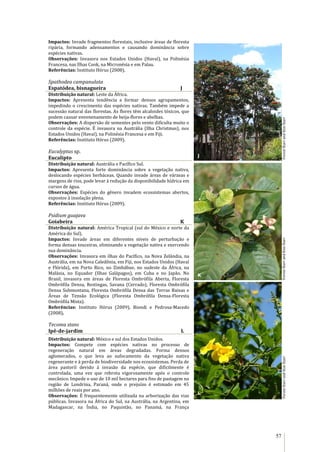 57
Impactos: Invade fragmentos florestais, inclusive áreas de floresta
ripária, formando adensamentos e causando dominância sobre
espécies nativas.
Observações: Invasora nos Estados Unidos (Havaí), na Polinésia
Francesa, nas Ilhas Cook, na Micronésia e em Palau.
Referências: Instituto Hórus (2008).
Spathodea campanulata
Espatódea, bisnagueira J
Distribuição natural: Leste da África.
Impactos: Apresenta tendência a formar densos agrupamentos,
impedindo o crescimento das espécies nativas. Também impede a
sucessão natural das florestas. As flores têm alcaloides tóxicos, que
podem causar envenenamento de beija-flores e abelhas.
Observações: A dispersão de sementes pelo vento dificulta muito o
controle da espécie. É invasora na Austrália (Ilha Christmas), nos
Estados Unidos (Havaí), na Polinésia Francesa e em Fiji.
Referências: Instituto Hórus (2009).
Eucalyptus sp.
Eucalipto
Distribuição natural: Austrália e Pacífico Sul.
Impactos: Apresenta forte dominância sobre a vegetação nativa,
deslocando espécies herbáceas. Quando invade áreas de várzeas e
margens de rios, pode levar à redução da disponibilidade hídrica em
cursos de água.
Observações: Espécies do gênero invadem ecossistemas abertos,
expostos à insolação plena.
Referências: Instituto Hórus (2009).
Psidium guajava
Goiabeira K
Distribuição natural: América Tropical (sul do México e norte da
América do Sul).
Impactos: Invade áreas em diferentes níveis de perturbação e
forma densas touceiras, eliminando a vegetação nativa e exercendo
sua dominância.
Observações: Invasora em ilhas do Pacífico, na Nova Zelândia, na
Austrália, em na Nova Caledônia, em Fiji, nos Estados Unidos (Havaí
e Flórida), em Porto Rico, no Zimbábue, no sudeste da África, na
Malásia, no Equador (Ilhas Galápagos), em Cuba e no Japão. No
Brasil, invasora em áreas de Floresta Ombrófila Aberta, Floresta
Ombrófila Densa, Restingas, Savana (Cerrado), Floresta Ombrófila
Densa Submontana, Floresta Ombrófila Densa das Terras Baixas e
Áreas de Tensão Ecológica (Floresta Ombrófila Densa-Floresta
Ombrófila Mista).
Referências: Instituto Hórus (2009), Biondi e Pedrosa-Macedo
(2008).
Tecoma stans
Ipê-de-jardim L
Distribuição natural: México e sul dos Estados Unidos.
Impactos: Compete com espécies nativas no processo de
regeneração natural em áreas degradadas. Forma densos
aglomerados, o que leva ao sufocamento da vegetação nativa
regenerante e à perda de biodiversidade nos ecossistemas. Perda de
área pastoril devido à invasão da espécie, que dificilmente é
controlada, uma vez que rebrota vigorosamente após o controle
mecânico. Impede o uso de 10 mil hectares para fins de pastagem na
região de Londrina, Paraná, onde o prejuízo é estimado em 45
milhões de reais por ano.
Observações: É frequentemente utilizada na arborização das vias
públicas. Invasora na África do Sul, na Austrália, na Argentina, em
Madagascar, na Índia, no Paquistão, no Panamá, na França
ForestStarrandKimStarrForestStarrandKimStarrForestStarrandKimStarr
J
K
L
 