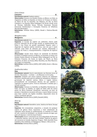 59
Citrus X limon
Limoeiro Q
Distribuição natural: Sudeste asiático.
Observações: Invasora nos Estados Unidos, no México, no Chile, na
Argentina, na Itália, na Espanha, na Grécia, na Turquia, no Líbano,
na África do Sul, na Austrália, nas Filipinas, em Fiji, na Nova
Caledônia e no Equador (Ilhas Galápagos). No Brasil, invade áreas
de Floresta Ombrófila Densa, Floresta Estacional, Floresta
Estacional Semidecidual e Formações Pioneiras de Influência
Marinha (Restingas).
Referências: Instituto Hórus (2009), Biondi e Pedrosa-Macedo
(2008).
Mangifera indica
Mangueira R
Distribuição natural: Ásia.
Impactos: A invasão da espécie em ambientes ciliares pode
provocar alteração do pH da água devido ao apodrecimento das
folhas e dos frutos em grande quantidade. Impacto sobre a
dispersão de espécies nativas zoocóricas, uma vez que é muito
utilizada como fonte de alimento por animais, diminuindo o
consumo de frutos e, consequentemente, a dispersão de espécies
nativas.
Observações: Invade áreas ciliares do semiárido do Nordeste
brasileiro. É também invasora no México, na Austrália, na China, nos
Estados Unidos (Havaí), no Equador (Ilhas Galápagos), em Fiji, na
Polinésia Francesa, em Guam, no Japão, em Nauru, na Nova
Caledônia, em Niue, na França (Ilhas Reunião), nas Ilhas Maurício,
em Tonga e no Paquistão.
Referências: Instituto Hórus (2009), GISP (2005), Xavier e Moreno
(2008).
Azadirachta indica
Nim S
Distribuição natural: Ocorre naturalmente nas florestas secas do
Deceão e Karnataka — na Índia —, em Mianmá e no Sri Lanka.
Impactos: Compete com outras espécies arbóreas em ambientes
florestais e domina pela ação de substâncias alelopáticas, inibindo a
germinação de espécies nativas. Altera o regime hídrico,
principalmente em ecossistemas abertos, em que substitui a
vegetação de pequeno porte. Torna-se dominante à medida que a
invasão aumenta.
Observações: Invasora na Austrália, na República Dominicana, na
Índia, em Gana, na Gâmbia, na região do Sahel, além de outros
países da África Ocidental. Atualmente representa um fator de
prejuízo a fazendeiros em países africanos, a quem faltam recursos
para fazer controle em regiões invadidas, impactando áreas de
cultivo e produção agrícola.
Referências: Instituto Hórus (2009), Randall (2002).
Pinus sp.
Pinus
Distribuição natural: Hemisfério norte: América do Norte, Europa
e Ásia.
Impactos: Em ecossistemas campestres, a invasão de qualquer
espécie do gênero Pinus representa a total substituição da
vegetação nativa devido ao sombreamento, ao aumento na acidez
do solo, à perda de fertilidade e ao elevado consumo de água, que
pode até impactar o nível do lençol freático.
Observações: Ocorre comumente em áreas degradadas de florestas
e ambientes abertos, secos até muito úmidos. Espécies do gênero
são invasoras no Canadá, Argentina, Uruguai, Chile, Austrália, Nova
Caledônia, Nova Zelândia, em Madagascar, Malaui e África do Sul.
Referências: Instituto Hórus (2009).
O
ForestStarrandKimStarrForestStarrandKimStarrForestStarrandKimStarrForestStarrandKimStarr
P
Q
R
S
 