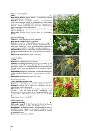 60
Mimosa caesalpiniifolia
Sabiá T
Distribuição natural: Espécie endêmica do ecossistema Caatinga,
na formação de Savana Estépica.
Impactos: Domina formações florestais em regeneração,
dificultando a sucessão natural de espécies nativas (observada em
remanescentes de Floresta Ombrófila Aberta, em Alagoas, em área
na qual a espécie foi utilizada como cerca viva e invadiu a área
adjacente). Possível potencial alelopático.
Observações: Ocorre exclusivamente em ambientes abertos e com
alta taxa de insolação.
Referências: Instituto Hórus (2009), Lopes e Piña-Rodrigues
(1997).
Aleurites moluccana
Salgueiro-amarelo, saboneteira, nogueira U
Distribuição natural: Austrália e Tasmânia.
Impactos: Pode alterar a disponibilidade de nutrientes e de água no
solo em função da elevada taxa de absorção. Provoca a redução da
diversidade biológica por exercer dominância. Observa-se a inibição
da germinação de espécies nativas (provável ação alelopática).
Observações: Invasora no Uruguai, em Portugal, na África do Sul e
está avançando ao longo da costa norte da Argentina e no Sul do
Brasil..
Referências: Instituto Hórus (2009), GISP (2005).
Acacia longifolia
Acácia
Distribuição natural: Austrália e Tasmânia.
Impactos: Altera a disponibilidade de nutrientes e de água no solo
em função da elevada taxa de absorção. Provoca a redução da
diversidade biológica em ecossistemas por exercer dominância. Em
florestas ciliares, observa-se a inibição da germinação de espécies
nativas.
Observações: Invasora no Uruguai, em Portugal, na África do Sul e
está avançando ao longo da costa norte da Argentina e no Sul do
Brasil.
Referências: Instituto Hórus (2009), GISP (2005),
Parkinsonia aculeata
Turco, espinho-de-jerusalém V
Distribuição natural: Regiões semi-áridas da América do Norte.
Impactos: Compete com a flora nativa, resultando em perda
expressiva da biodiversidade local.
Observações: É possível observar maciços populacionais em
margens e leitos de lagoas e açudes temporários, locais
preferenciais de invasão da espécie. Em Sossego, na Paraíba, foram
contabilizados 1.493 indivíduos da espécie em uma área de 3 mil
m².
Referências: Oliveira et al. (2007).
Dodonaea viscosa
Vassoura-vermelha W
Distribuição natural: De São Paulo ao Rio Grande do Sul, em
vegetação de restinga e em dunas mais próximas ao mar.
Observações: Invasora na Colômbia, na Polinésia Francesa e na
Namíbia. A espécie adapta-se a uma grande variedade de solos,
inclusive rochosos e secos, sendo muito resistente a períodos
prolongados de seca.
Referências: Instituto Hórus (2009).
S
ForestStarrandKimStarrForestStarrandKimStarrForestStarrandKimStarrAPNE/CNIP
W
V
U
T
 
