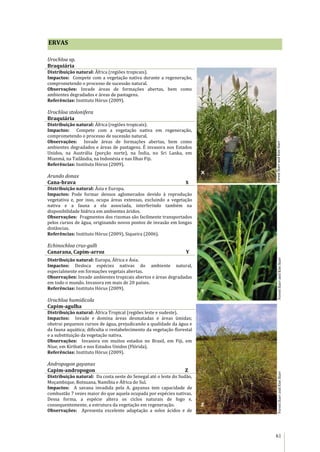 61
ERVAS
Urochloa sp.
Braquiária
Distribuição natural: África (regiões tropicais).
Impactos: Compete com a vegetação nativa durante a regeneração,
comprometendo o processo de sucessão natural.
Observações: Invade áreas de formações abertas, bem como
ambientes degradados e áreas de pastagens.
Referências: Instituto Hórus (2009).
Urochloa stolonifera
Braquiária
Distribuição natural: África (regiões tropicais).
Impactos: Compete com a vegetação nativa em regeneração,
comprometendo o processo de sucessão natural.
Observações: Invade áreas de formações abertas, bem como
ambientes degradados e áreas de pastagens. É invasora nos Estados
Unidos, na Austrália (porção norte), na Índia, no Sri Lanka, em
Mianmá, na Tailândia, na Indonésia e nas Ilhas Fiji.
Referências: Instituto Hórus (2009).
Arundo donax
Cana-brava X
Distribuição natural: Ásia e Europa.
Impactos: Pode formar densos aglomerados devido à reprodução
vegetativa e, por isso, ocupa áreas extensas, excluindo a vegetação
nativa e a fauna a ela associada, interferindo também na
disponibilidade hídrica em ambientes áridos.
Observações: Fragmentos dos rizomas são facilmente transportados
pelos cursos de água, originando novos pontos de invasão em longas
distâncias.
Referências: Instituto Hórus (2009), Siqueira (2006).
Echinochloa crus-galli
Canarana, Capim-arroz Y
Distribuição natural: Europa, África e Ásia.
Impactos: Desloca espécies nativas do ambiente natural,
especialmente em formações vegetais abertas.
Observações: Invade ambientes tropicais abertos e áreas degradadas
em todo o mundo. Invasora em mais de 20 países.
Referências: Instituto Hórus (2009).
Urochloa humidicola
Capim-agulha
Distribuição natural: África Tropical (regiões leste e sudeste).
Impactos: Invade e domina áreas desmatadas e áreas úmidas;
obstrui pequenos cursos de água, prejudicando a qualidade da água e
da fauna aquática; dificulta o restabelecimento da vegetação florestal
e a substituição da vegetação nativa.
Observações: Invasora em muitos estados no Brasil, em Fiji, em
Niue, em Kiribati e nos Estados Unidos (Flórida).
Referências: Instituto Hórus (2009).
Andropogon gayanus
Capim-andropogon Z
Distribuição natural: Da costa oeste do Senegal até o leste do Sudão,
Moçambique, Botsuana, Namíbia e África do Sul.
Impactos: A savana invadida pela A. gayanus tem capacidade de
combustão 7 vezes maior do que aquela ocupada por espécies nativas.
Dessa forma, a espécie altera os ciclos naturais de fogo e,
consequentemente, a estrutura da vegetação em regeneração.
Observações: Apresenta excelente adaptação a solos ácidos e de
Z
Y
X
Fores
t
Starr
and
Kim
Starr
ForestStarrandKimStarrForestStarrandKimStarrForestStarrandKimStarr
 