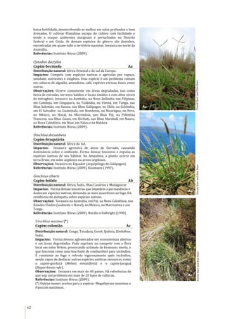 62
baixa fertilidade, desenvolvendo-se melhor em solos profundos e bem
drenados. O cultivar Planaltina escapa do cultivo com facilidade e
tende a ocupar ambientes marginais e perturbados no Distrito
Federal e em Goiás. As demais espécies do gênero são daninhas,
encontradas em quase todo o território nacional. Invasora no norte da
Austrália.
Referências: Instituto Hórus (2009).
Cynodon dactylon
Capim-bermuda Aa
Distribuição natural: África Oriental e do sul da Europa.
Impactos: Compete com espécies nativas e agrícolas por espaço,
umidade, nutrientes e oxigênio. Essa espécie é um problema comum
em culturas de algodão, amendoim, café, espécies cítricas, fumo, entre
outras.
Observações: Ocorre comumente em áreas degradadas, tais como
beira de estradas, terrenos baldios e locais úmidos e com altos níveis
de nitrogênio. Invasora na Austrália, na Nova Zelândia, nas Filipinas,
em Camboja, em Cingapura, na Tailândia, no Vietnã, em Tonga, nas
Ilhas Salomão, em Samoa, nas Ilhas Galápagos, no Chile, na Colômbia,
em El Salvador, na Guatemala, em Honduras, na Nicarágua, no Peru,
no México, no Havaí, na Micronésia, nas Ilhas Fiji, na Polinésia
Francesa, nas Ilhas Guam, em Kiribati, nas Ilhas Marshall, em Nauru,
na Nova Caledônia, em Niue, em Palau e na Malásia.
Referências: Instituto Hórus (2009).
Urochloa decumbens
Capim-braquiária
Distribuição natural: África do Sul.
Impactos: Invasora agressiva de áreas de Cerrado, causando
dominância sobre o ambiente. Forma densas touceiras e expulsa as
espécies nativas de seu hábitat. Na Amazônia, a planta ocorre em
terra firme, em solos argilosos ou areno-argilosos.
Observações: Invasora no Equador (arquipélago de Galápagos).
Referências: Instituto Hórus (2009), Kissmann (1997).
Cenchrus ciliaris
Capim-búfalo Ab
Distribuição natural: África, Índia, ilhas Canárias e Madagascar
Impactos: Forma densas touceiras que impedem a permanência e
deslocam espécies nativas, deixando-as mais suscetíveis ao fogo. Há
evidências de alelopatia sobre espécies nativas.
Observações: Invasora na Austrália, em Fiji, na Nova Caledônia, nos
Estados Unidos (sudoeste e Havaí), no México, na Macronésia e em
Tonga.
Referências: Instituto Hórus (2009), Nurdin e Fulbright (1990).
Urochloa maxima (*)
Capim-colonião Ac
Distribuição natural: Congo, Tanzânia, Guiné, Quênia, Zimbábue,
Índia .
Impactos: Forma densos aglomerados em ecossistemas abertos
e em áreas degradadas. Pode suprimir ou competir com a flora
local em solos férteis, provocando acúmulo de biomassa morta, o
que funciona como uma boa fonte de combustível para incêndios.
É resistente ao fogo e rebrota vigorosamente após incêndios,
sendo capaz de deslocar outras espécies exóticas invasoras, como
o capim-gordura (Melinis minutiflora) e o capim-jaraguá
(Hyparrhenia rufa).
Observações: Invasora em mais de 40 países. Há referências de
que seja um problema em mais de 20 tipos de culturas.
Referências: Instituto Hórus (2009).
(*) Outros nomes aceitos para a espécie: Megathyrsus maximus e
Panicum maximum.
ForestStarrandKimStarrForestStarrandKimStarrForestStarrandKimStarr
Aa
Ab
Ac
 