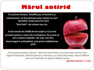 Mărul antirid
În cantonul elveţian Schaffhouse, la frontiera cu
Liechtenstein, au fost plantate patru rânduri cu meri
deosebiţi. Aceşti pomi fac mere
"Red Flesh", de culoare roşu viu.
A fost nevoie de 10 000 de încrucişări şi 12 ani de
cercetare pentru a acest măr revoluţionar. Nu numai că
are o culoare originală, dar este, mai ales,
foarte bogat în antioxidanţi, care previn îmbătrânirea
pielii.
O companie elveţiano-daneză, Next Fruit Generation, va comercializa aceste mere.
Giganţii distribuţiei, Mark & Spencer şi Sainsbury, au vizitat deja livada. Peste15 000 de
pomi vor fi plantaţi aici până la sfârşitul anului.
Apariţie estimată: 1 - 2 ani
©  Next Fruit Generation
 